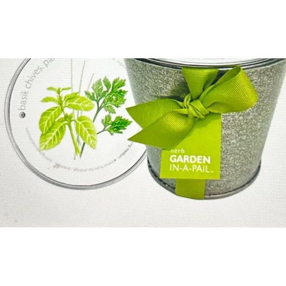 Herb Garden in a Pail by Potting Shed - Picture 2 of 3